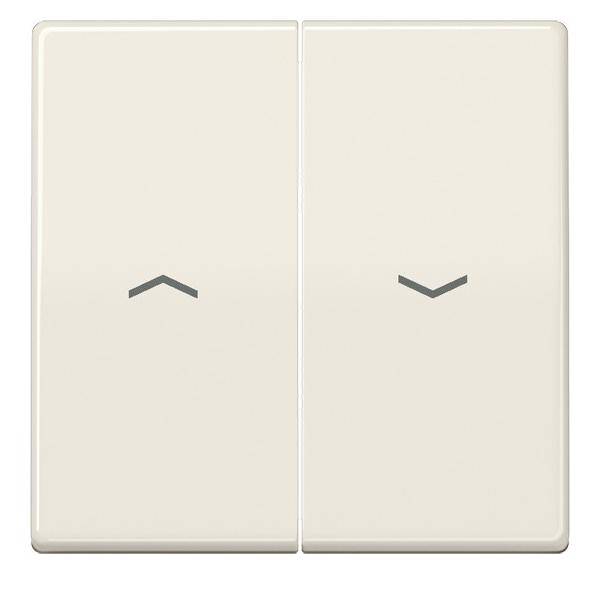 Jung Wippe Symbole ws ABAS 591-5 P