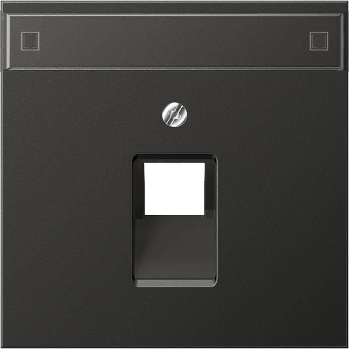 Jung Abdeckung Schriftfeld ant AL 2969-1 NAUA AN