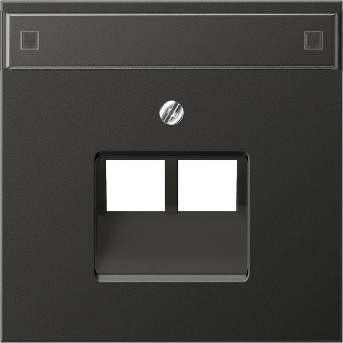 Jung Abdeckung Schriftfeld ant AL 2969-2 NAUA AN