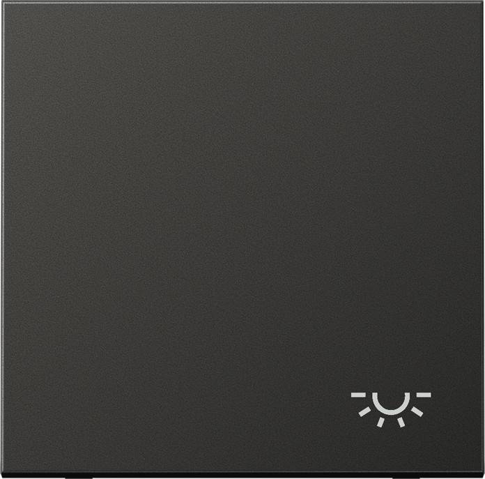 Jung Wippe Symbol LICHT anth AL 2990 L AN