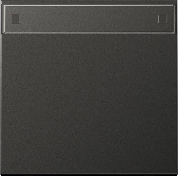 Jung Wippe Schriftfeld anth AL 2990 NA AN