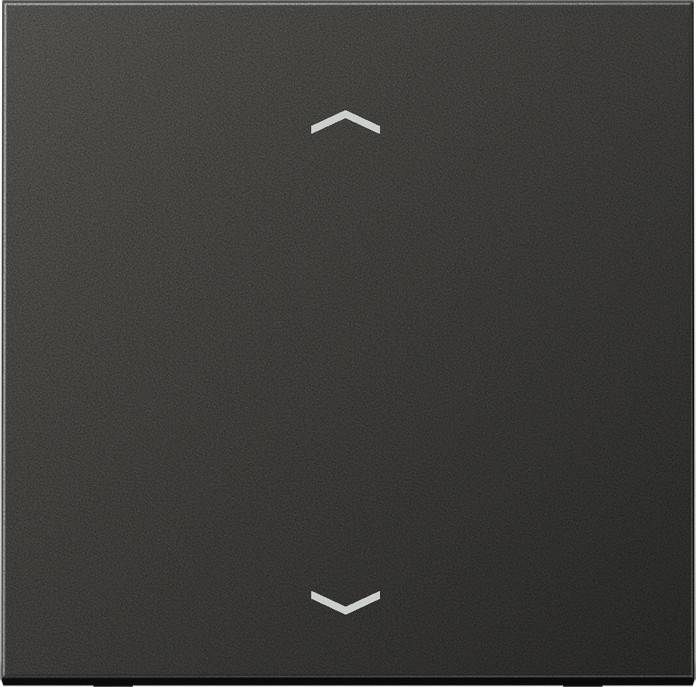 Jung Wippe Symbole anth AL 2990 P AN