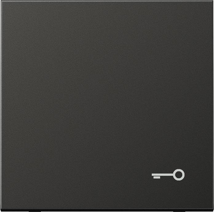 Jung Wippe Symbol TÜR anth AL 2990 T AN