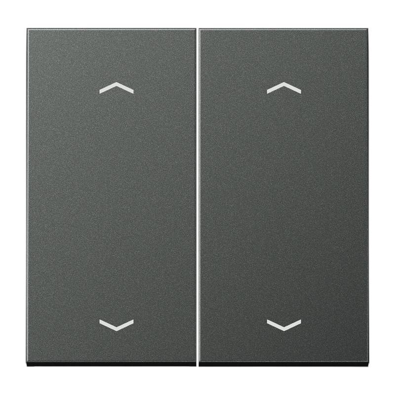 Jung Wippe Symbole anth AL 2995 MP AN