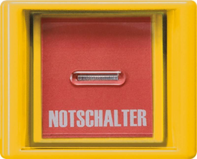 Jung Abdeckung Glasscheibe ge AS 561 GL GE