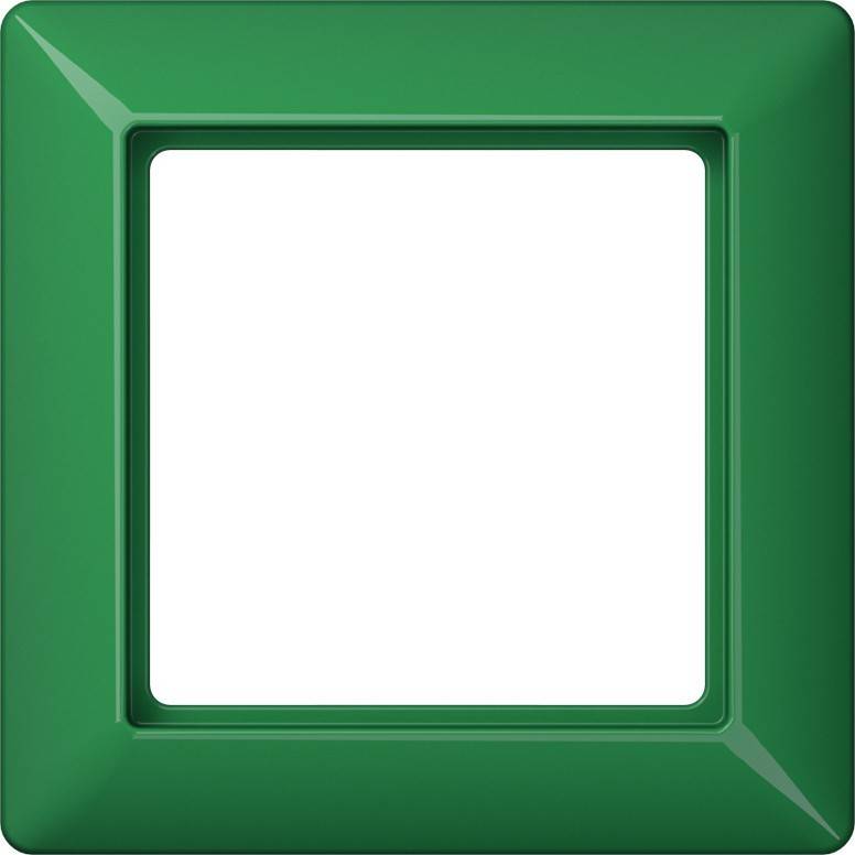 Jung Rahmen 1-fach gn AS 581 BF GN