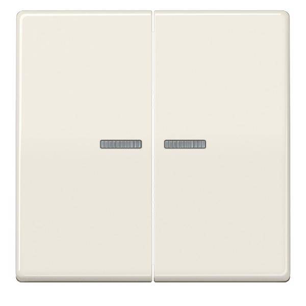 Jung Wippe Lichtleiter ws AS 591-5 KO5BF