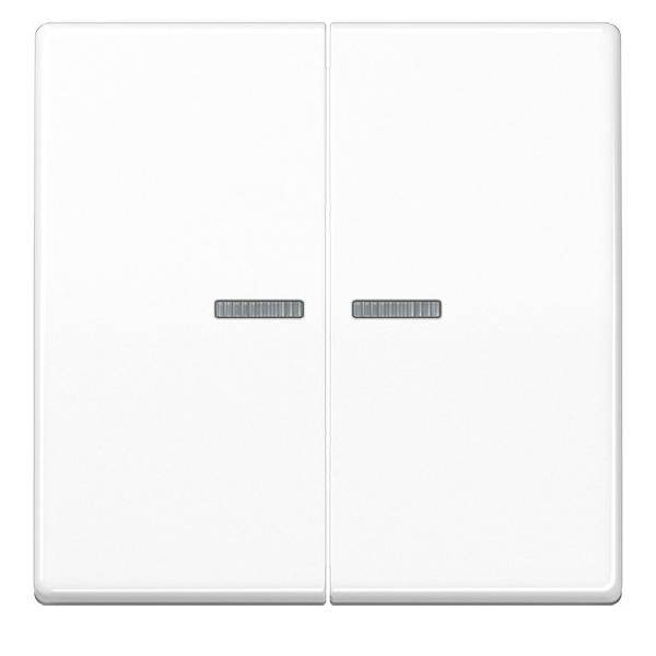 Ein weißes Doppel-Lichtschaltertableau mit zwei horizontalen grauen Kippschaltern, die mittig auf jeder Seite angeordnet sind.