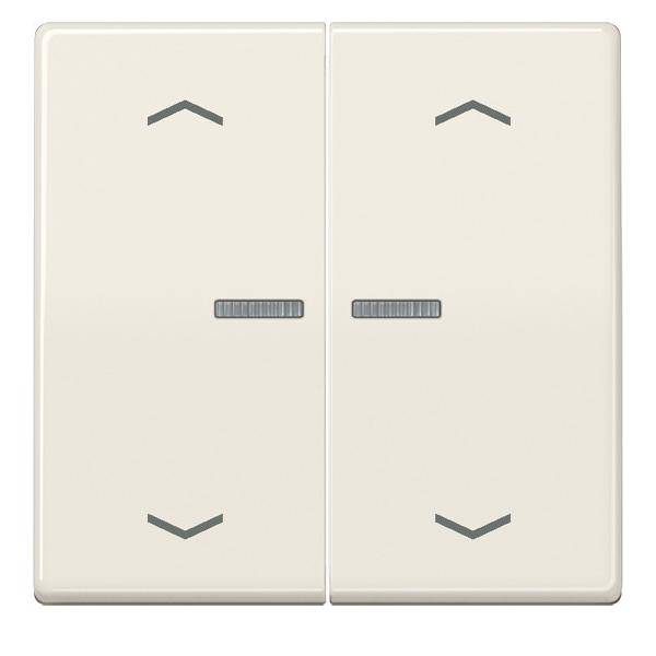 Jung Wippe Symbole/Lichtl.ws AS 591-5 KO5MP
