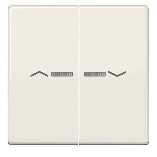 Jung Wippe Symbole/Lichtl.ws AS 591-5 KO5P