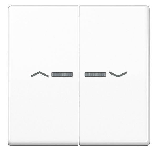 Jung Wippe Symbole/Lichtl.aws AS 591-5 KO5P WW