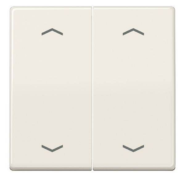 Jung Wippe Symbole ws AS 591-5 MP