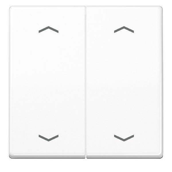 Jung Wippe Symbole aws AS 591-5 MP WW