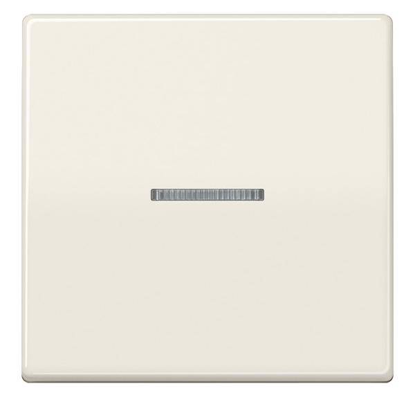 Jung KNX RF Taster 1fach AS 10911 ST RF