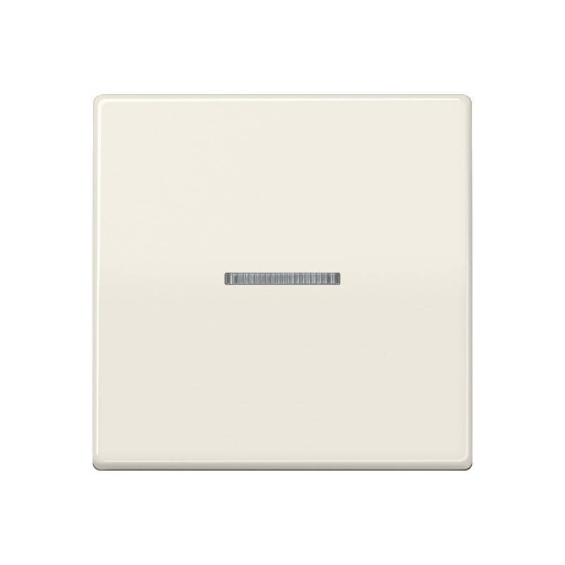 Jung Wippe Lichtleiter ws AS 591 KO5BF