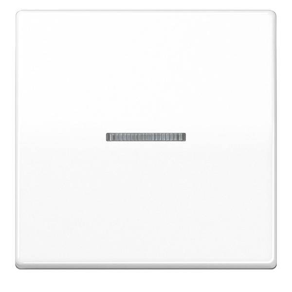 Jung Wippe Lichtleiter aws AS 591 KO5BFS WW