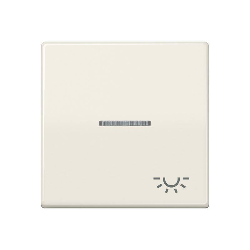 Jung Wippe Sym.LICHT/Lichtl.ws AS 591 KO5L
