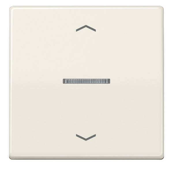 Jung Wippe Symbole/Lichtl.ws AS 591 KO5P