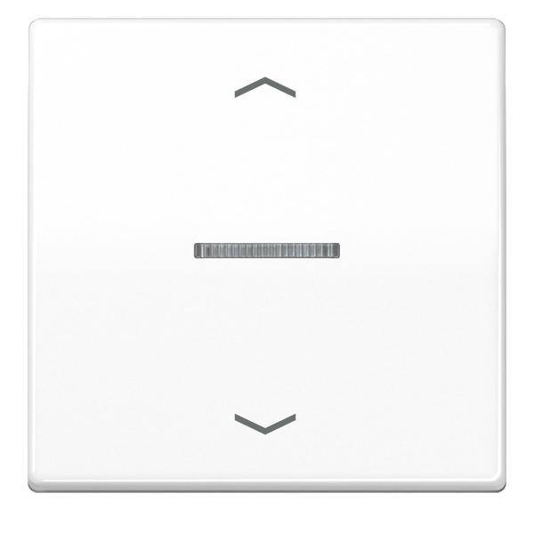 Jung Wippe Symbole/Lichtl.aws AS 591 KO5P WW