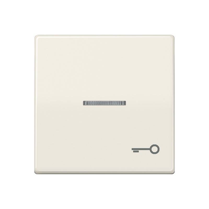 Jung Wippe Sym.TÜR/Lichtl.ws AS 591 KO5T