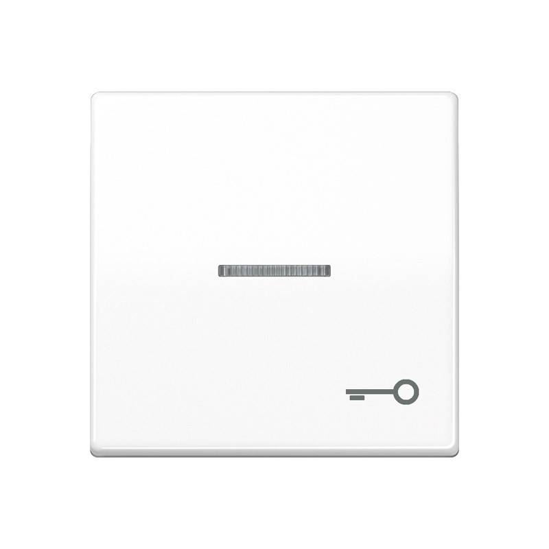 Jung Wippe Sym.TÜR/Lichtl.aws AS 591 KO5T WW