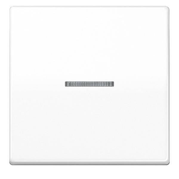 Jung KNX RF Taster 1fach AS 10911 ST RF WW