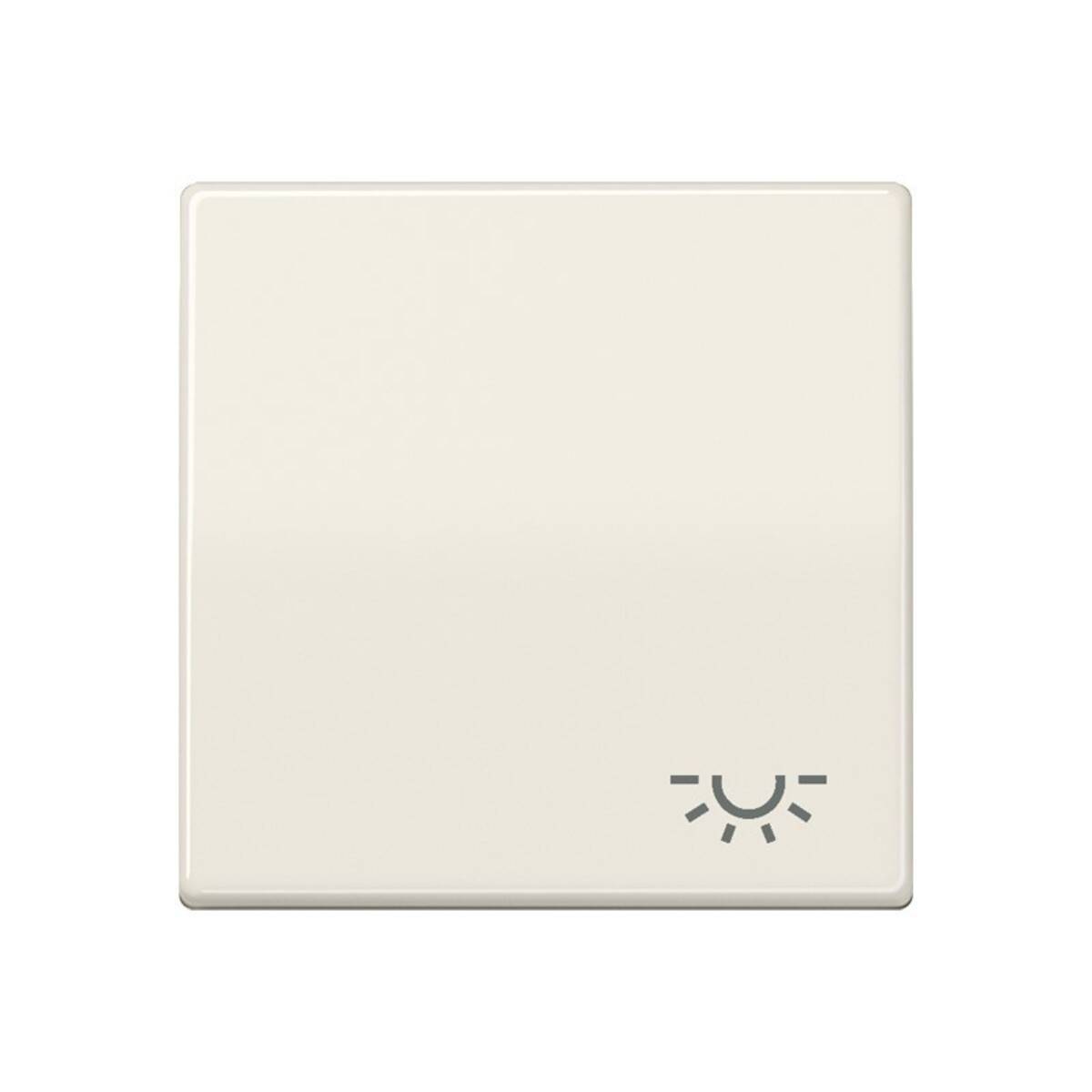Jung Wippe Symbol LICHT ws AS 591 L