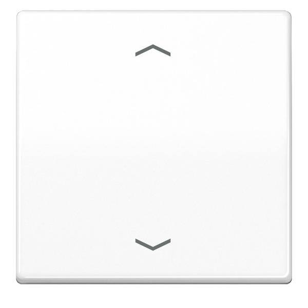 Jung Steuertaste Standard AS 1700 P WW