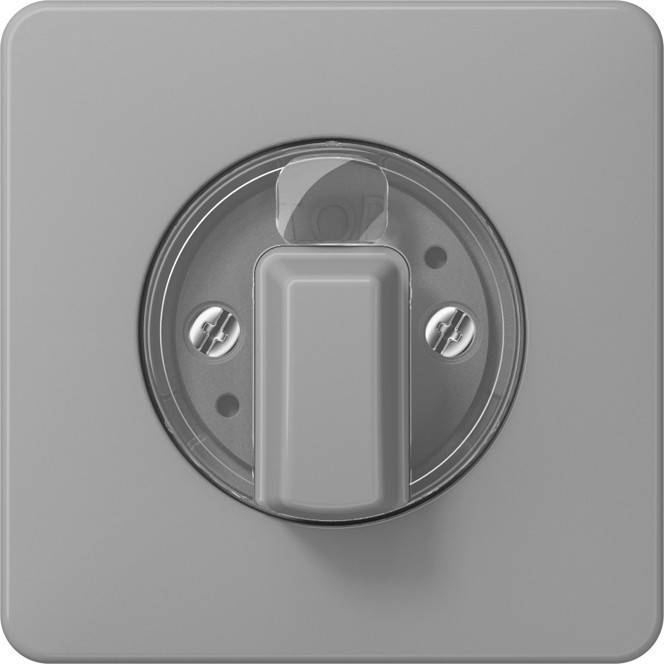 Jung Abdeckung CD 1541 GR