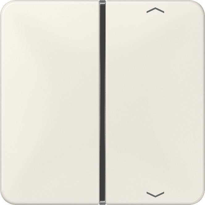 Jung Taste 1-fach ws CD 401 TSAP