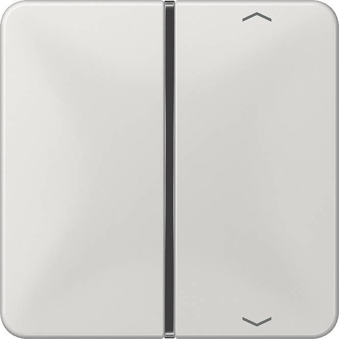 Jung Taste 1-fach lgr CD 401 TSAP LG