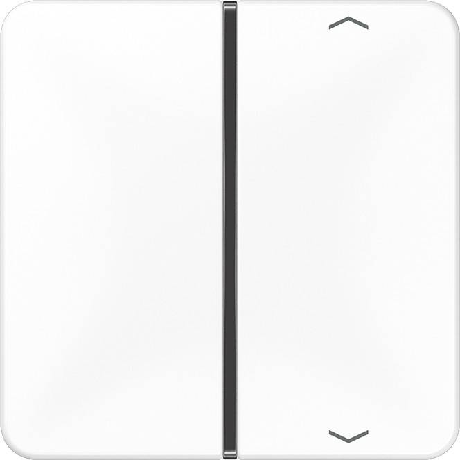 Jung Taste 1-fach aws CD 401 TSAP WW