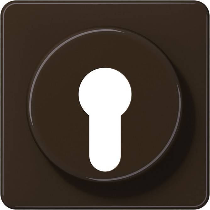 Jung Abdeckung br CD 528 BR