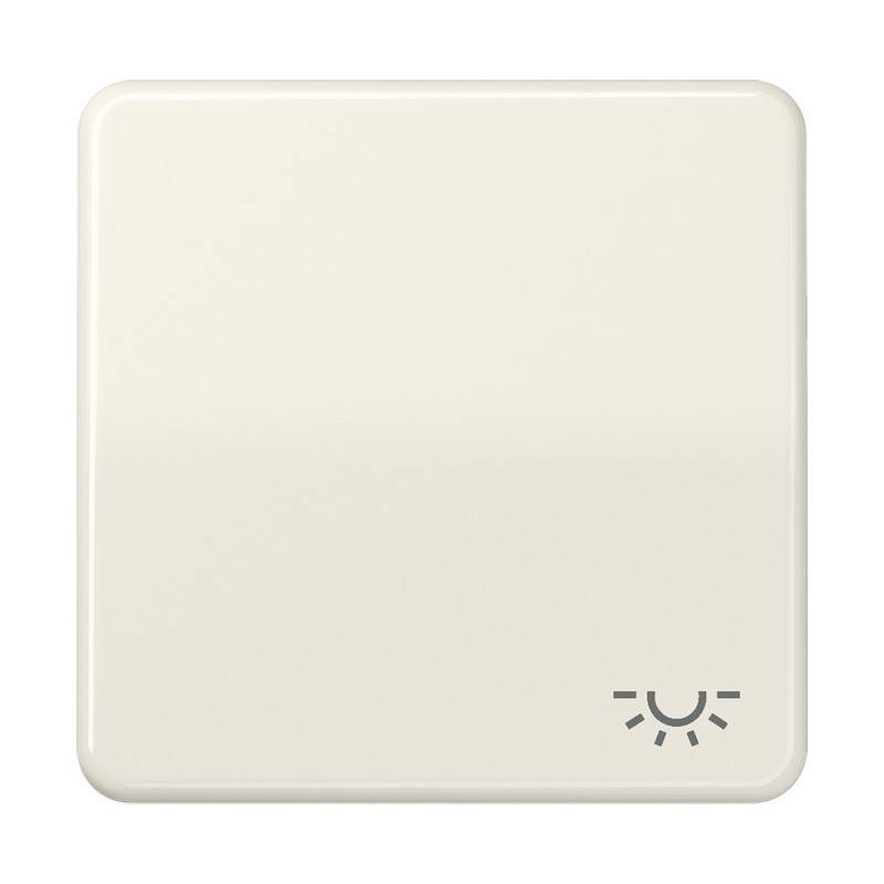 Jung Wippe Symbol LICHT ws CD 590 BFL