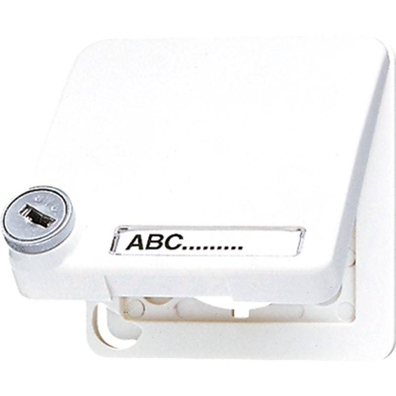 Jung Klappdeckel aws CD 590 BFSLNAKL WW