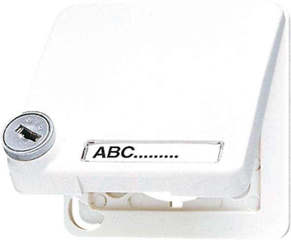 Jung Klappdeckel aws CD 590 BFSLNAKL WW