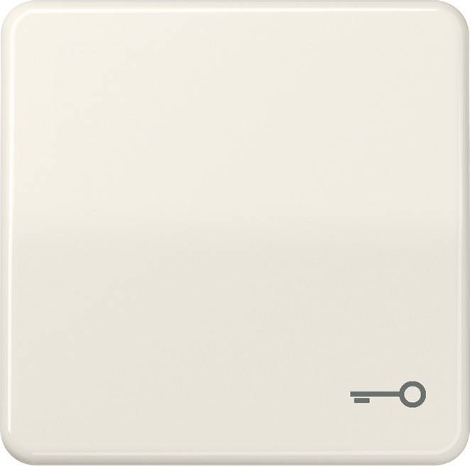 Jung Wippe Symbol TÜR ws CD 590 BFT