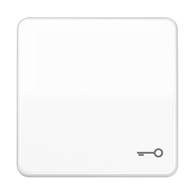 Jung Wippe Symbol TÜR aws CD 590 BFT WW