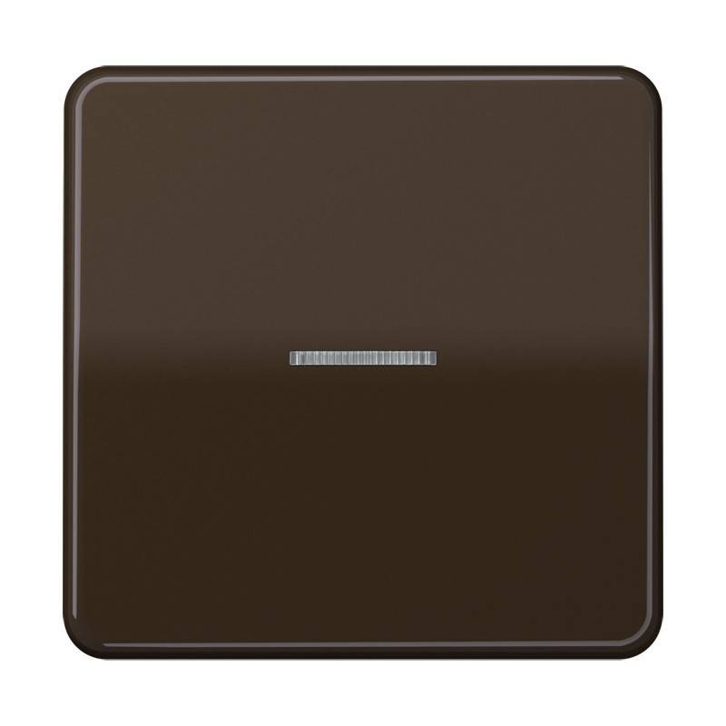 Jung Wippe Lichtleiter br CD 590 KO5 BR
