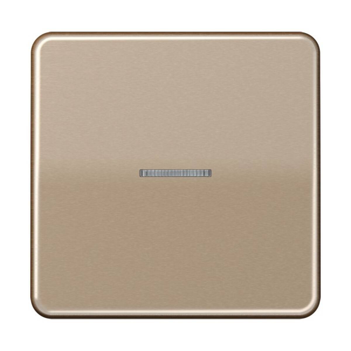 Jung Wippe Lichtleiter go-brz CD 590 KO5 GB