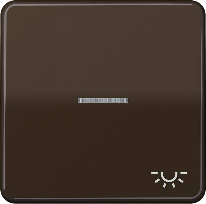 Jung Wippe Sym.LICHT/Lichtl.br CD 590 KO5L BR