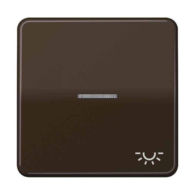 Jung Wippe Sym.LICHT/Lichtl.br CD 590 KO5L BR