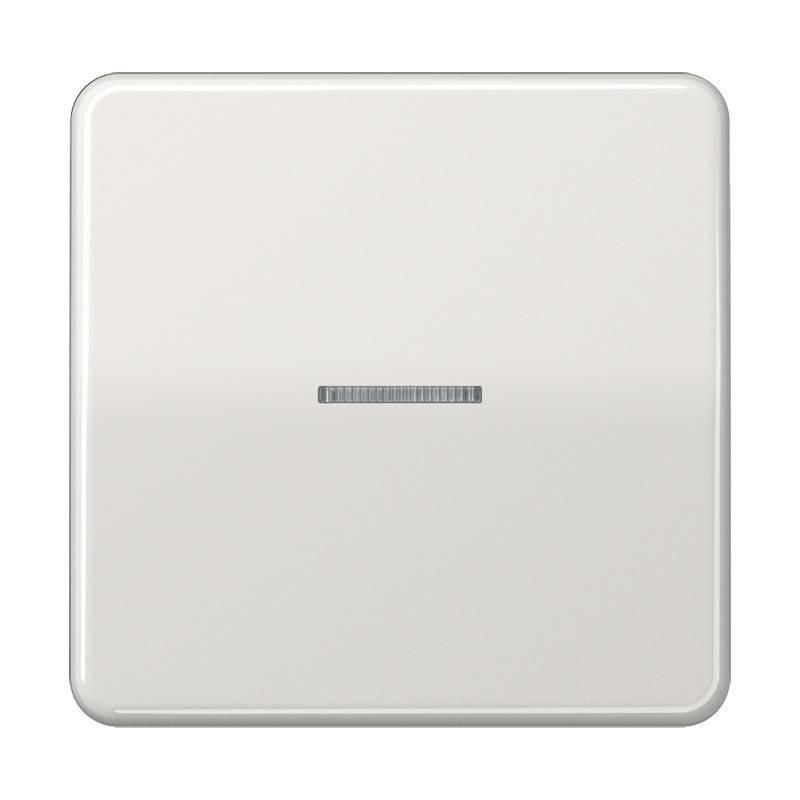Jung Wippe Lichtleiter lgr CD 590 KO5 LG