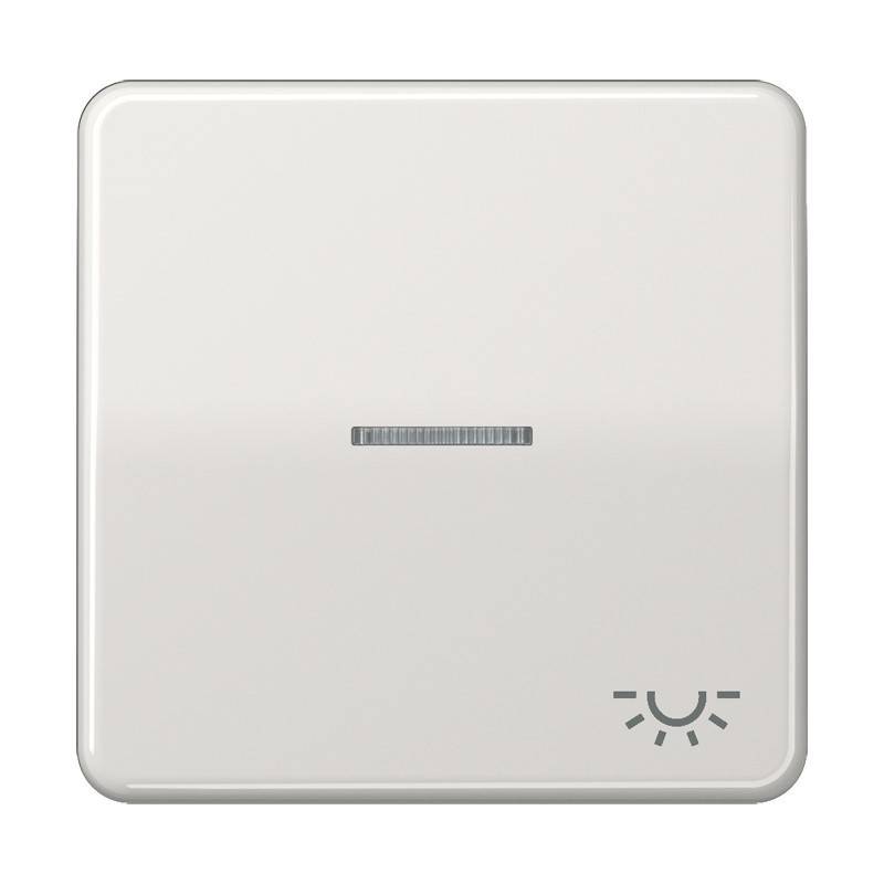 Jung Wippe Sym.LICHT/Lichtl.lg CD 590 KO5L LG
