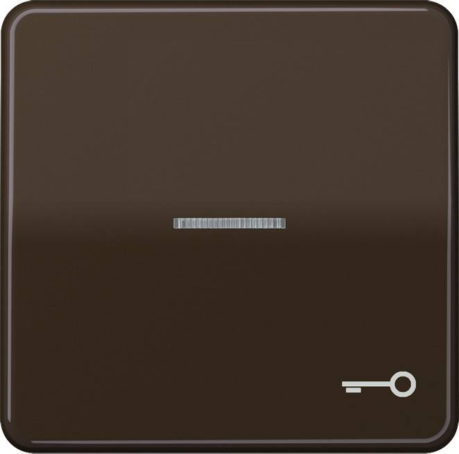 Jung Wippe Sym.TÜR/Lichtl.br CD 590 KO5T BR