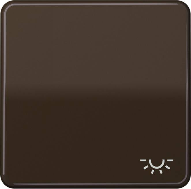 Jung Wippe Symbol LICHT br CD 590 L BR