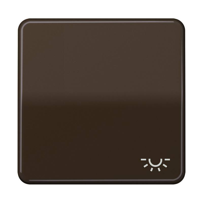Jung Wippe Symbol LICHT br CD 590 L BR
