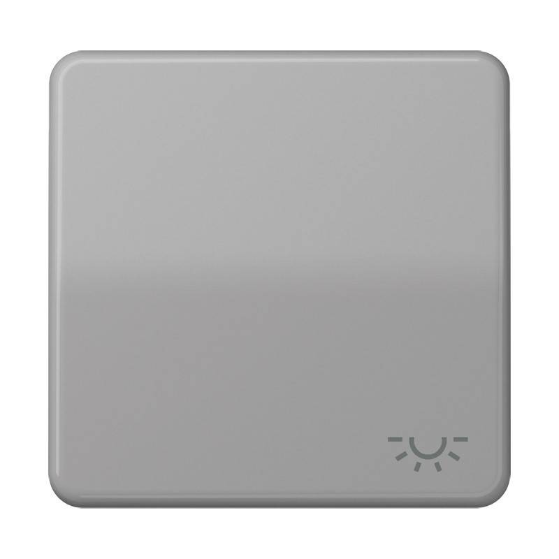 Jung Wippe Symbol LICHT gr CD 590 L GR