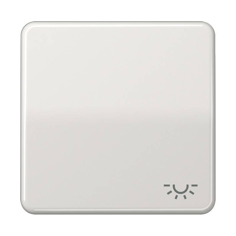 Jung Wippe Symbol LICHT lgr CD 590 L LG