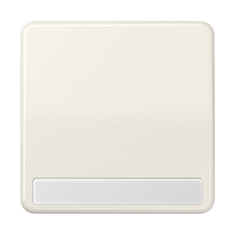 Jung Wippe Schriftfeld ws CD 590 NABF